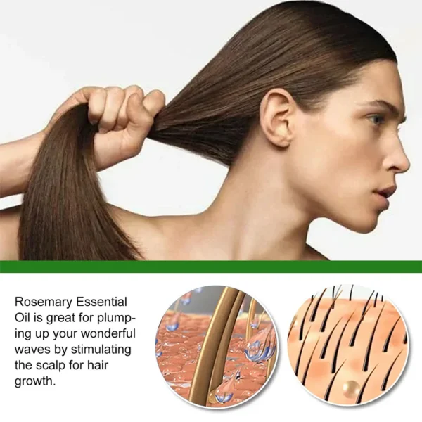 Hair Growth Essence Oil Ginger Hair Growth Oil Anti Hair Loss Prevent Baldness Treatment Fast Nourish Scalp Hair Care - Image 3