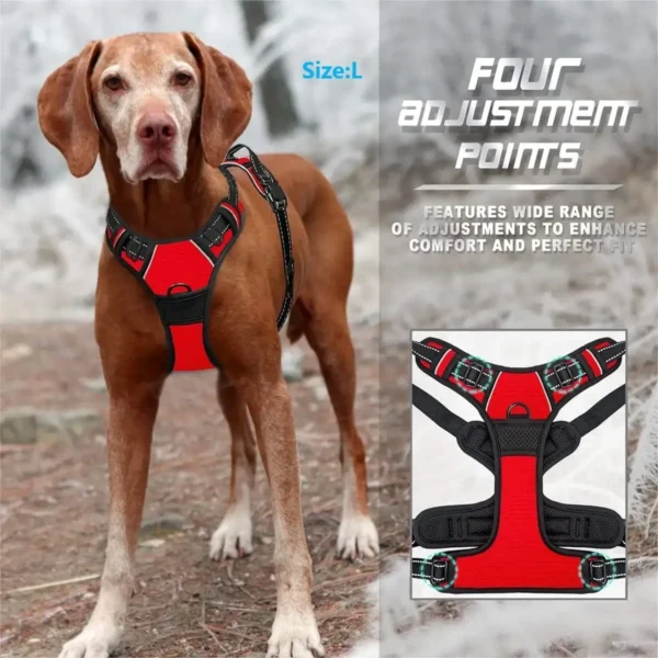 Dog Collars Harness - Big Vests Leash for your Pet - Image 7
