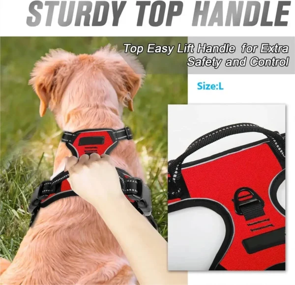 Dog Collars Harness - Big Vests Leash for your Pet - Image 6