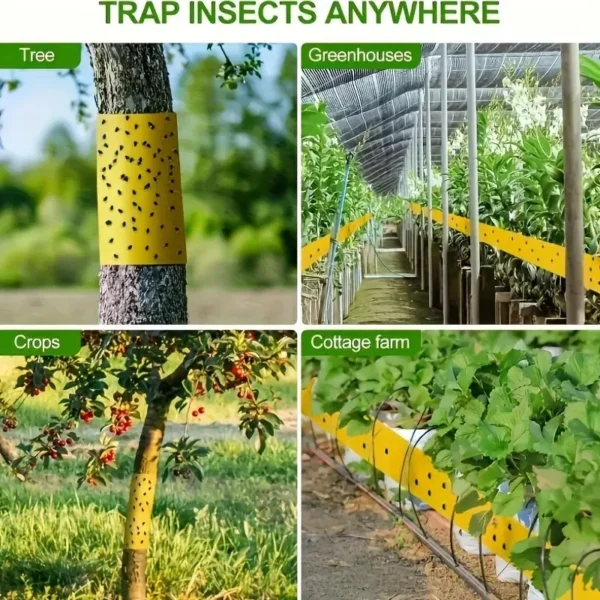 Yellow Sticky Fruit Fly Traps – Double-Sided Gnat Catcher Tape and Flying Insect Killer – Waterproof Fungus Gnat, Aphid, and Whitefly Control for Indoor Plants, Outdoor Garden, and Greenhouses - Image 4