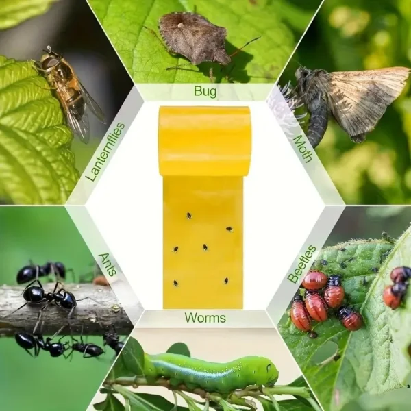 Yellow Sticky Fruit Fly Traps – Double-Sided Gnat Catcher Tape and Flying Insect Killer – Waterproof Fungus Gnat, Aphid, and Whitefly Control for Indoor Plants, Outdoor Garden, and Greenhouses - Image 5