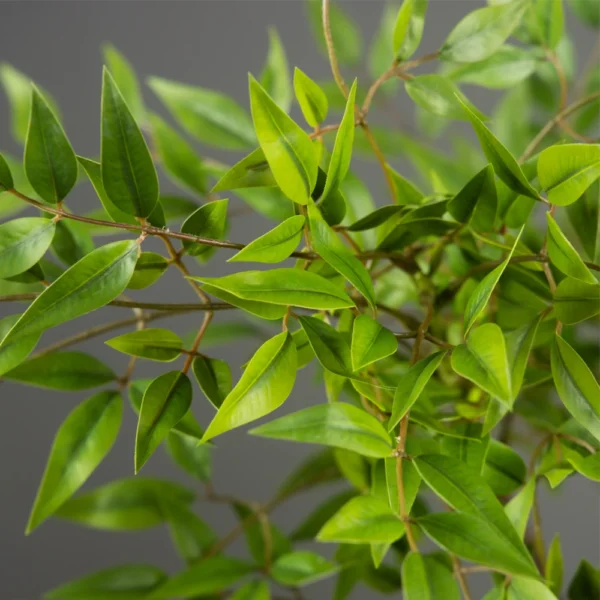75-140cm Tall Artificial Nandina Plants Fake Tropical Palm Branches Plastic Green Bamboo Leaves For Home Garden Office Decor - Image 6